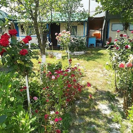 Camping Casuta Mihaela 크리잔 외부 사진