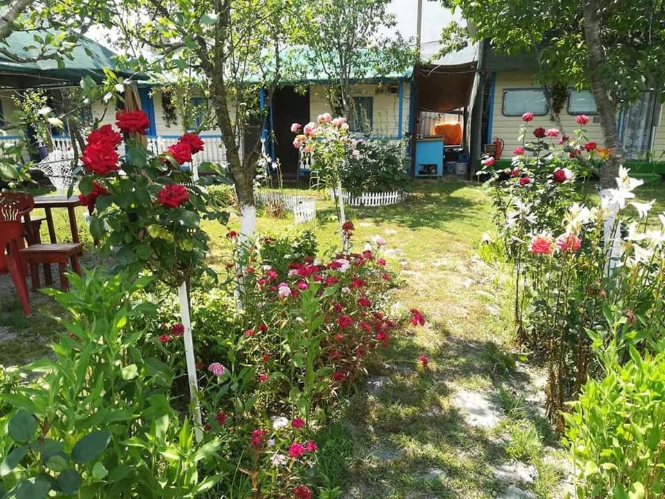 Camping Casuta Mihaela 크리잔 외부 사진