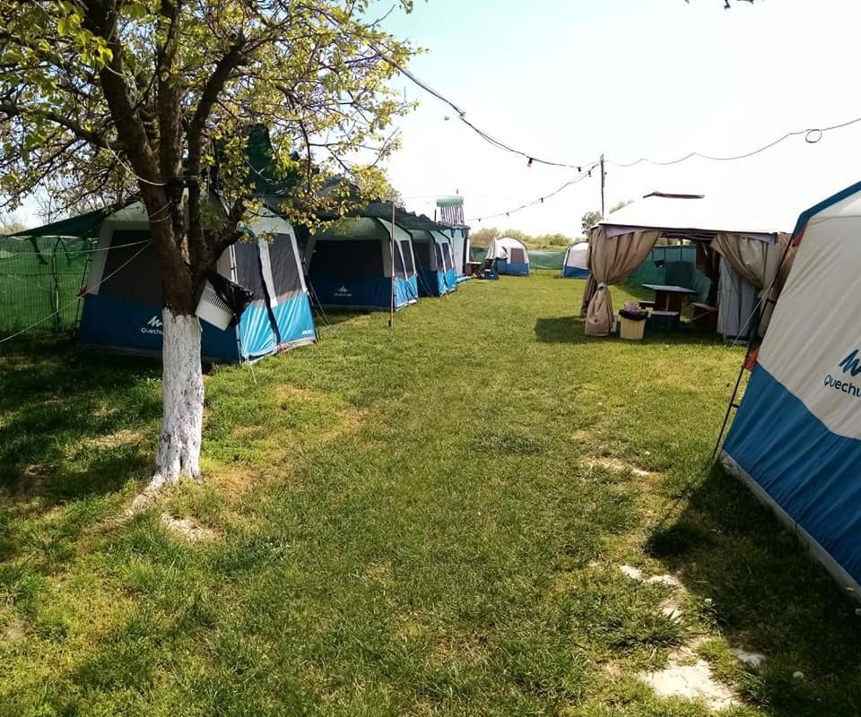 Camping Casuta Mihaela 크리잔 외부 사진