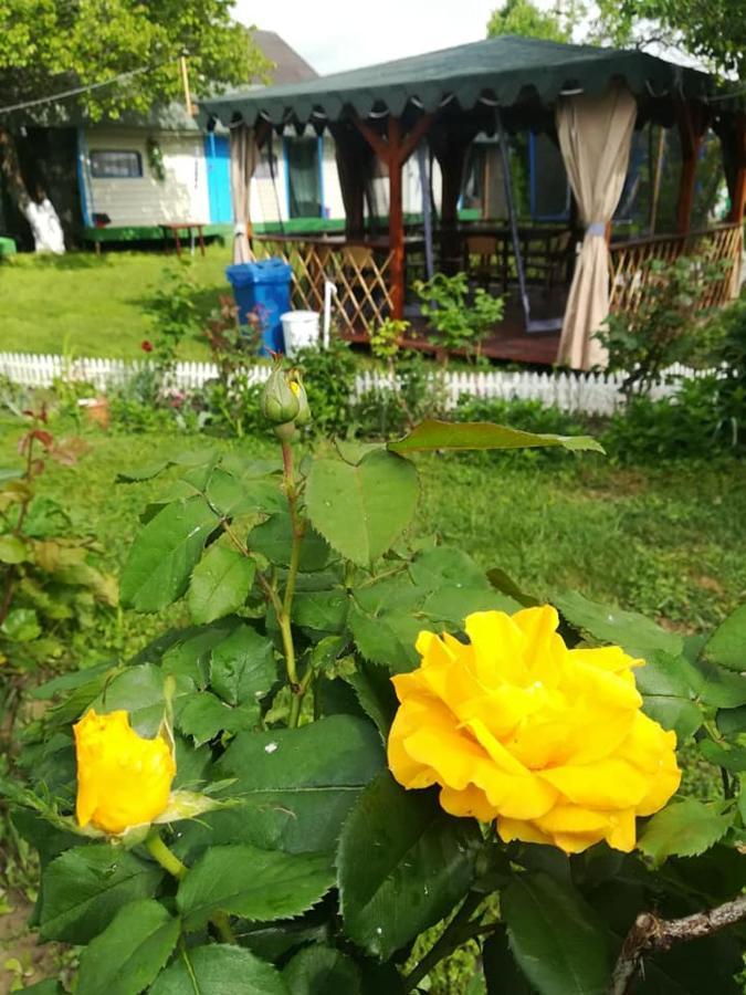 Camping Casuta Mihaela 크리잔 외부 사진