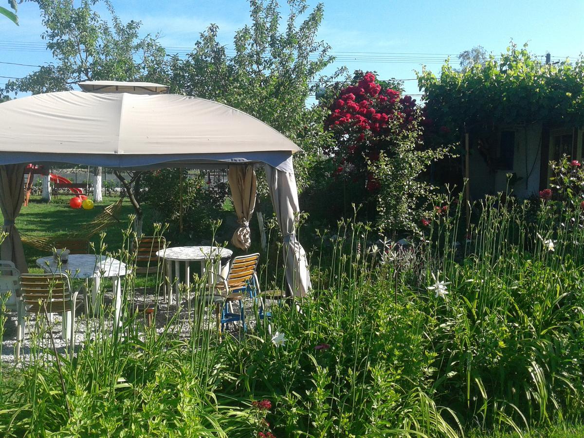 Camping Casuta Mihaela 크리잔 외부 사진