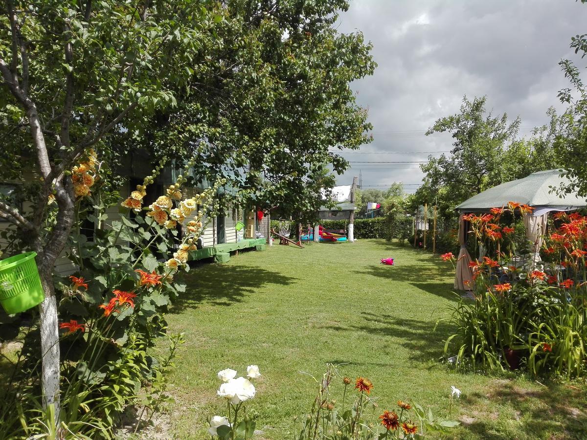 Camping Casuta Mihaela 크리잔 외부 사진